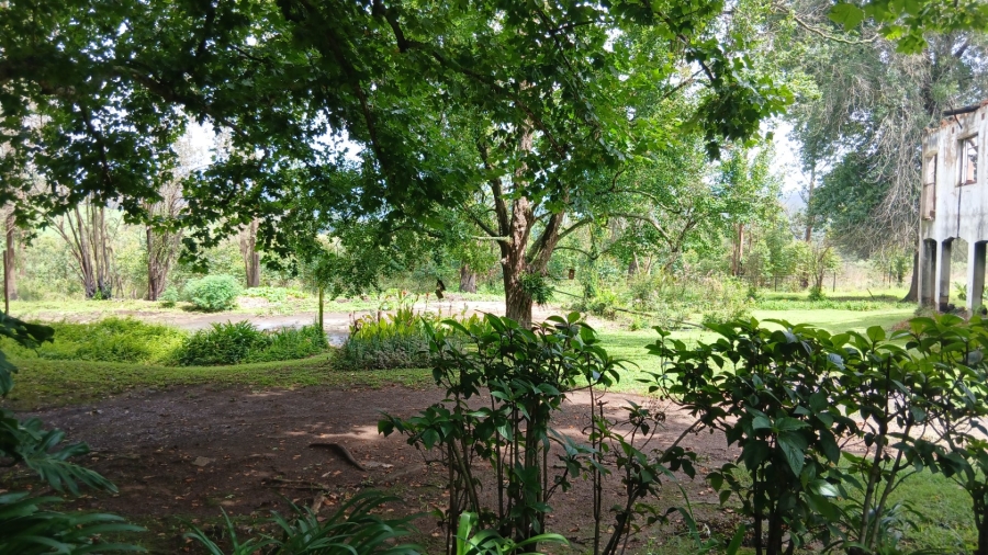 Commercial Property for Sale in Ixopo KwaZulu-Natal