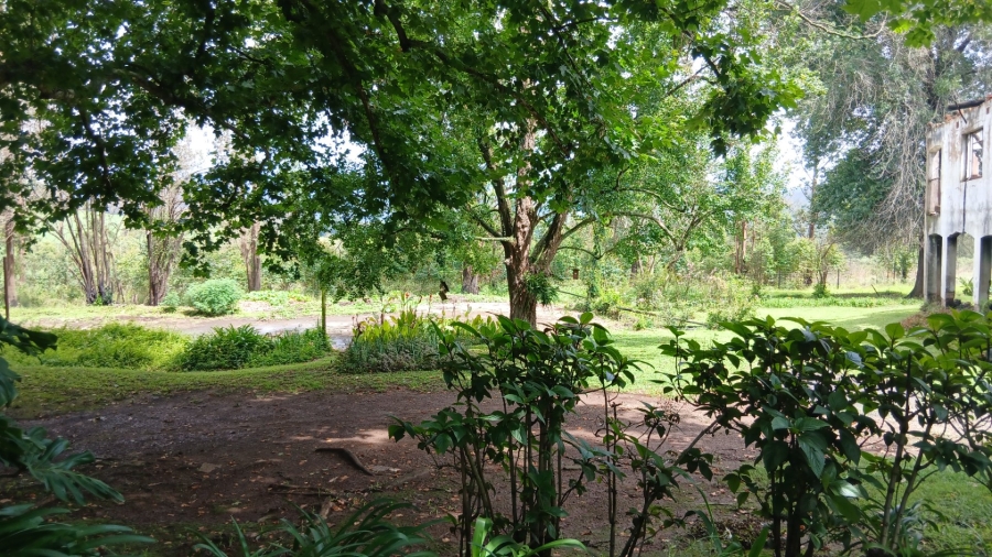 Commercial Property for Sale in Ixopo KwaZulu-Natal