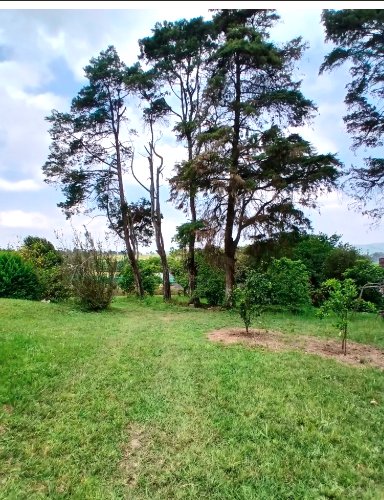 To Let 2 Bedroom Property for Rent in Thornville KwaZulu-Natal