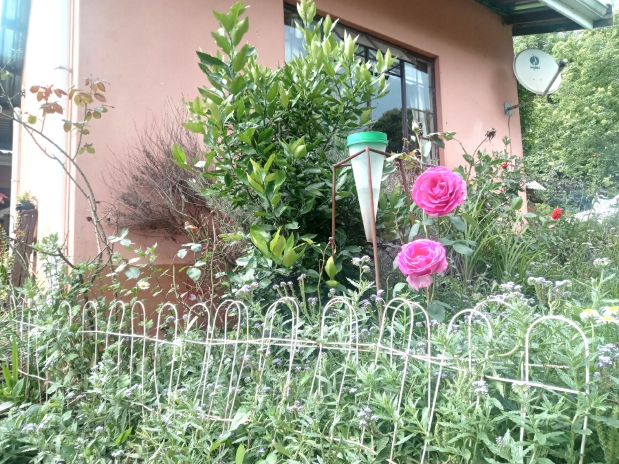 To Let 2 Bedroom Property for Rent in Greendale KwaZulu-Natal