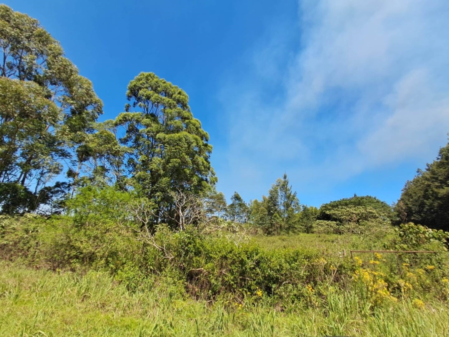 4 Bedroom Property for Sale in Port Shepstone KwaZulu-Natal