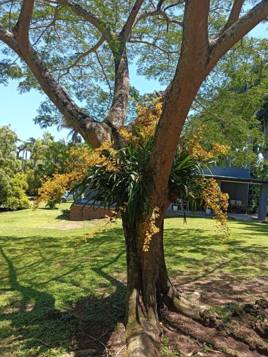 Commercial Property for Sale in Shakaskraal KwaZulu-Natal
