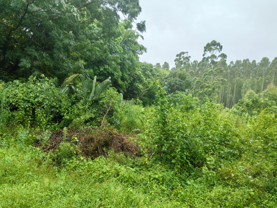 Commercial Property for Sale in Kwambonambi KwaZulu-Natal