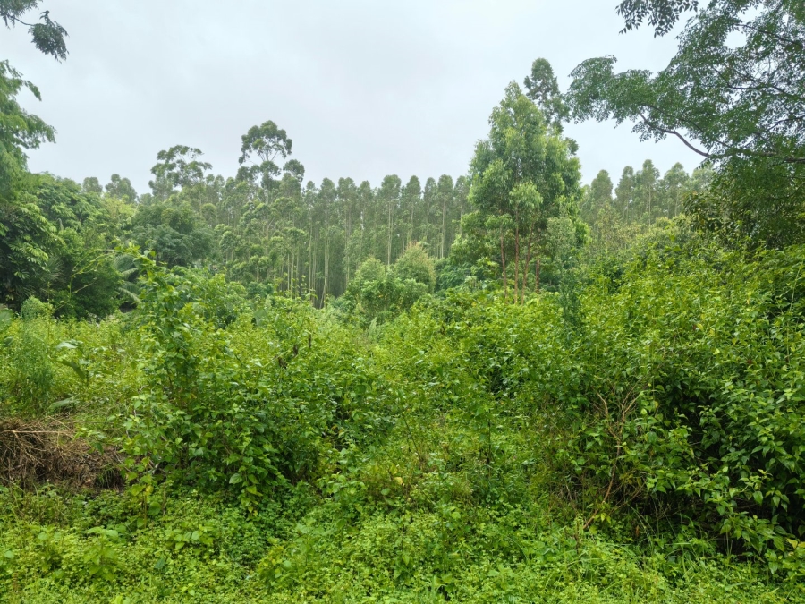 Commercial Property for Sale in Kwambonambi KwaZulu-Natal