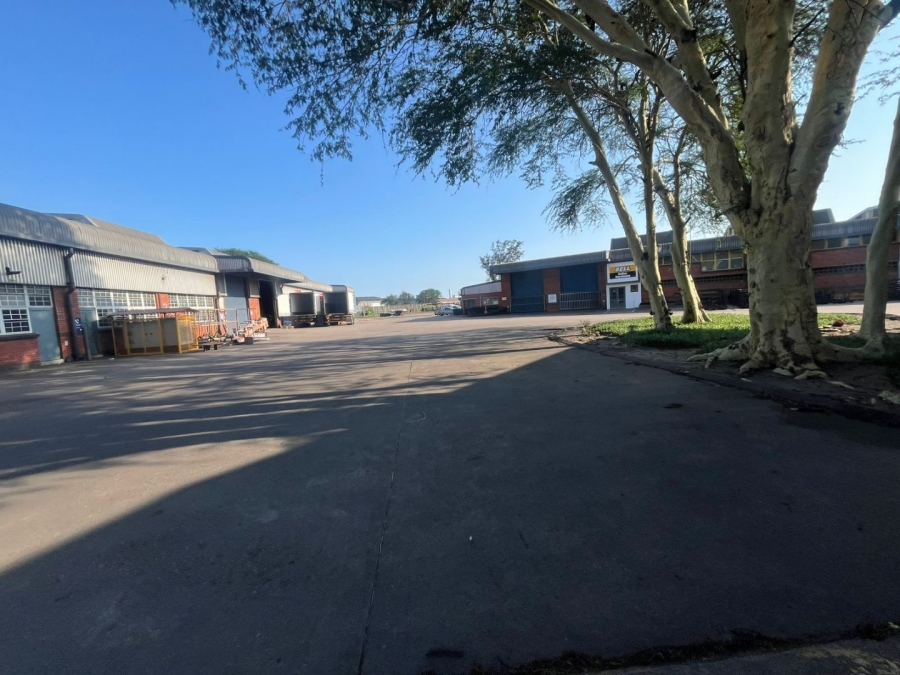 To Let commercial Property for Rent in Alton KwaZulu-Natal