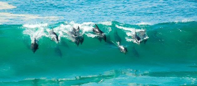 3 Bedroom Property for Sale in Hibberdene KwaZulu-Natal