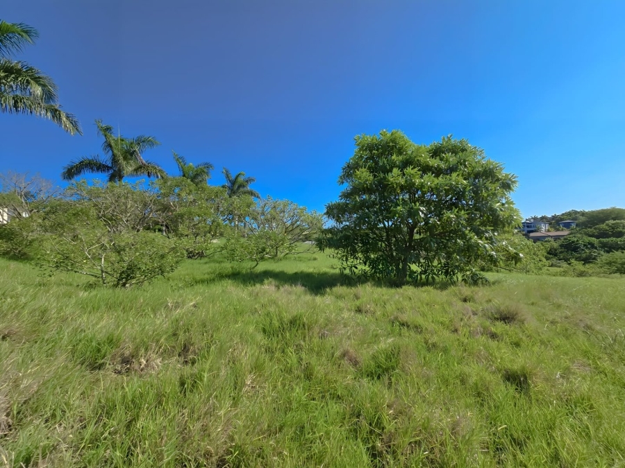  Bedroom Property for Sale in Palm Lakes Estate KwaZulu-Natal