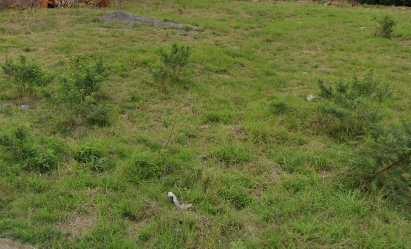  Bedroom Property for Sale in Rose Park KwaZulu-Natal