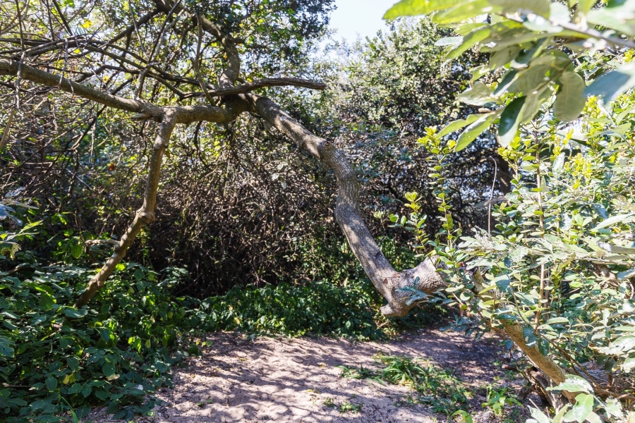 4 Bedroom Property for Sale in Oslo Beach KwaZulu-Natal