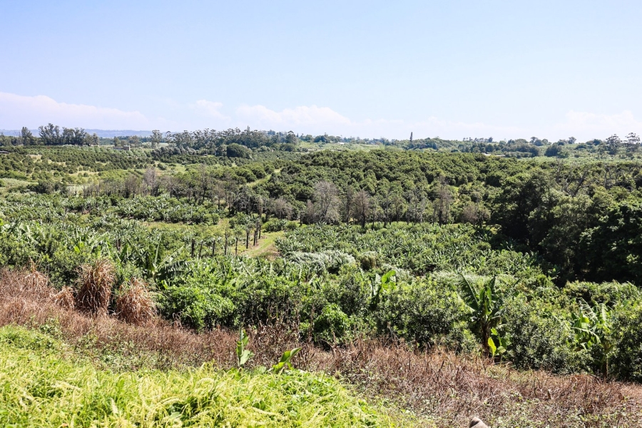 Commercial Property for Sale in Marina Beach KwaZulu-Natal