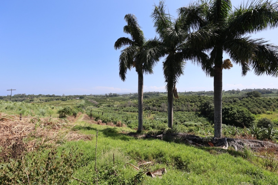 Commercial Property for Sale in Marina Beach KwaZulu-Natal