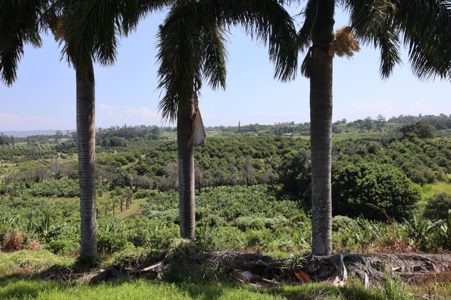 Commercial Property for Sale in Marina Beach KwaZulu-Natal