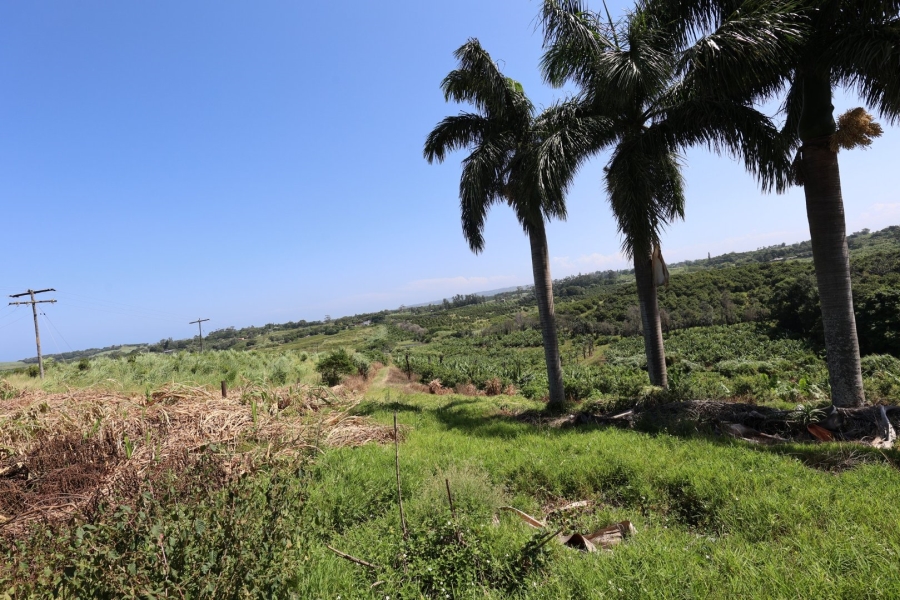 Commercial Property for Sale in Marina Beach KwaZulu-Natal