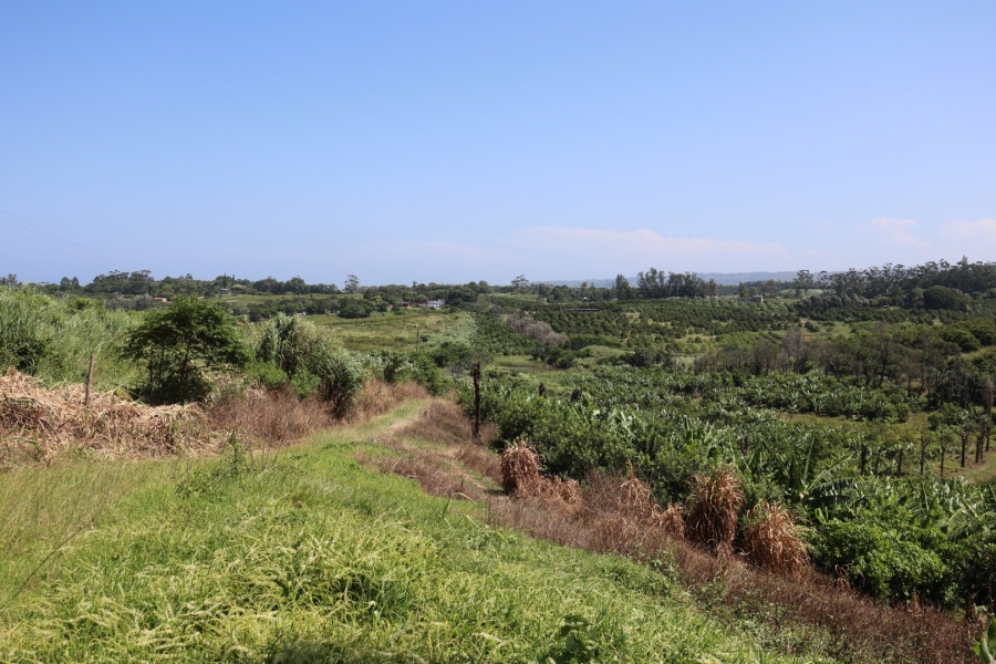 Commercial Property for Sale in Marina Beach KwaZulu-Natal