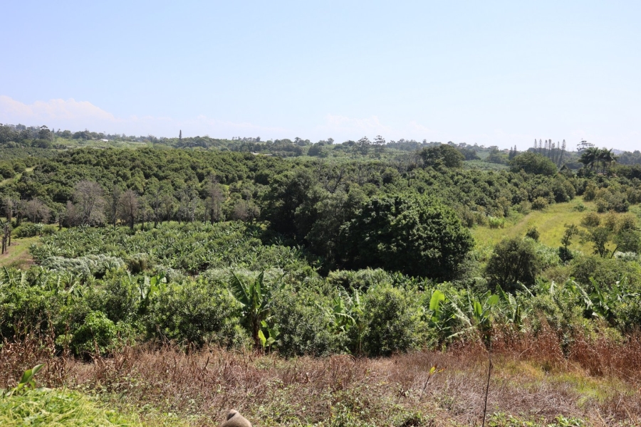 Commercial Property for Sale in Marina Beach KwaZulu-Natal