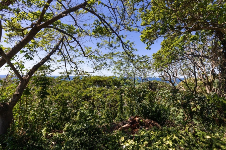 Commercial Property for Sale in Oslo Beach KwaZulu-Natal