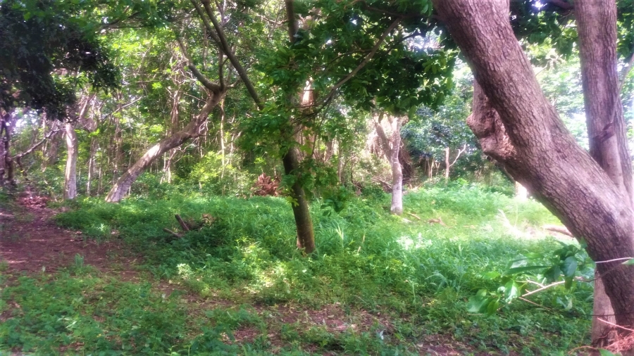 Commercial Property for Sale in Umtentweni KwaZulu-Natal