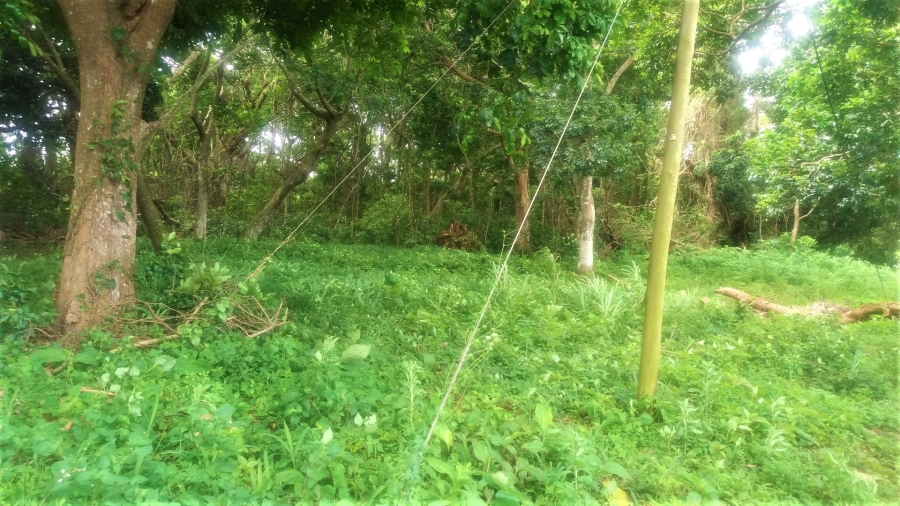 Commercial Property for Sale in Umtentweni KwaZulu-Natal