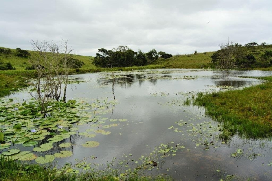 Commercial Property for Sale in Paddock KwaZulu-Natal