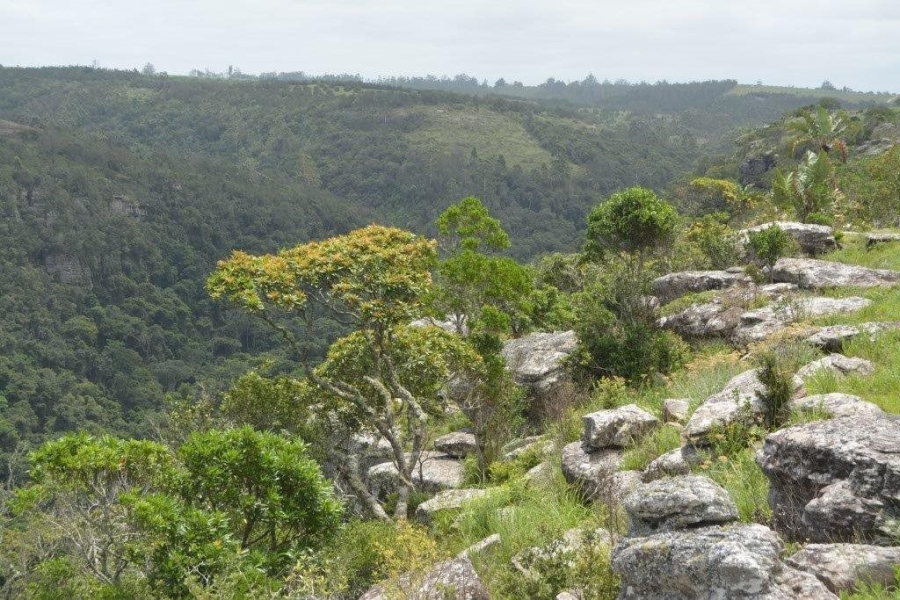 Commercial Property for Sale in Paddock KwaZulu-Natal