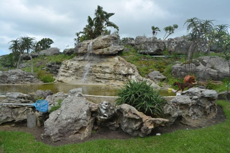 Commercial Property for Sale in Paddock KwaZulu-Natal