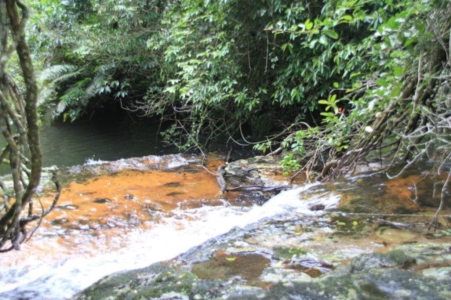 Commercial Property for Sale in Paddock KwaZulu-Natal