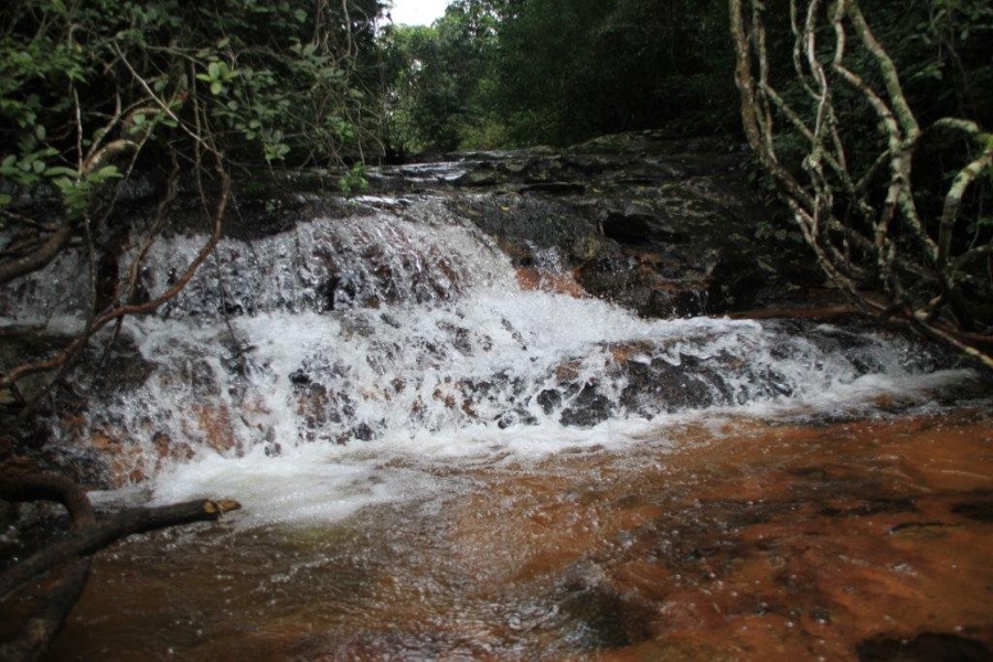 Commercial Property for Sale in Paddock KwaZulu-Natal