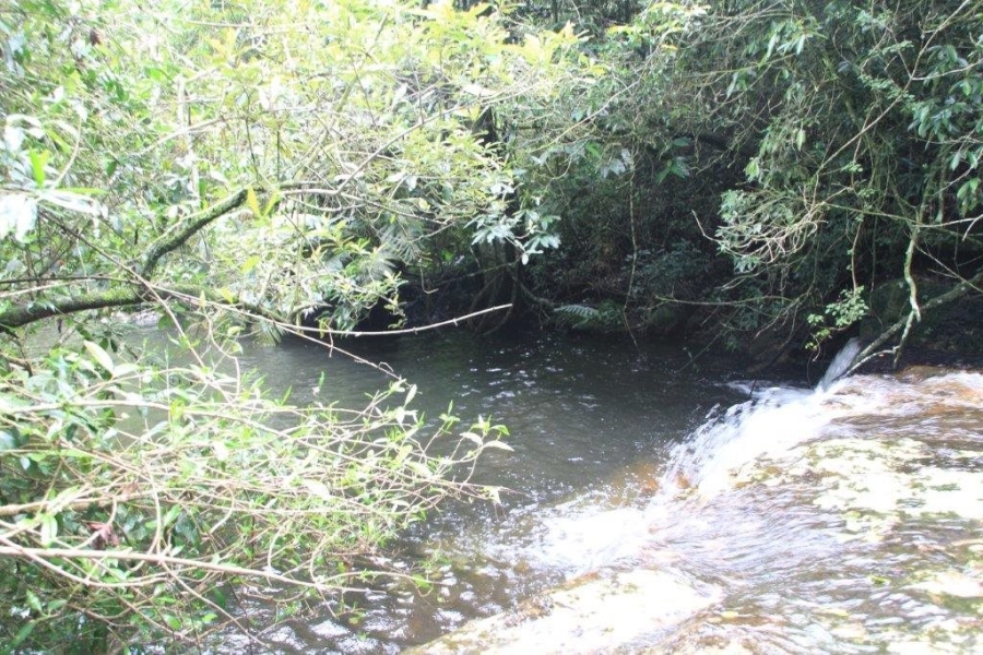 Commercial Property for Sale in Paddock KwaZulu-Natal