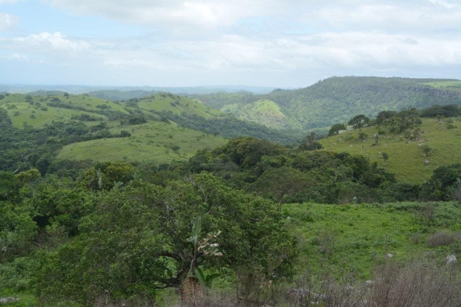 Commercial Property for Sale in Paddock KwaZulu-Natal