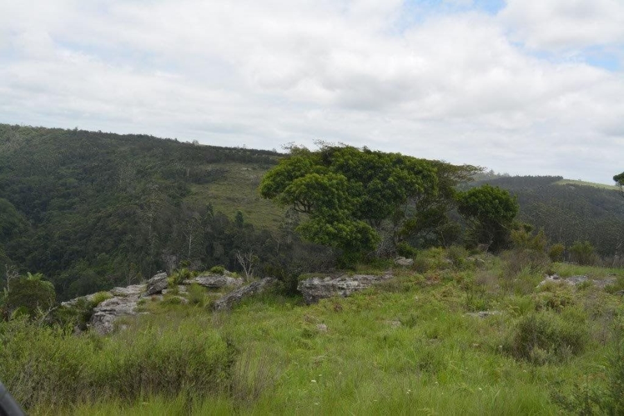 Commercial Property for Sale in Paddock KwaZulu-Natal