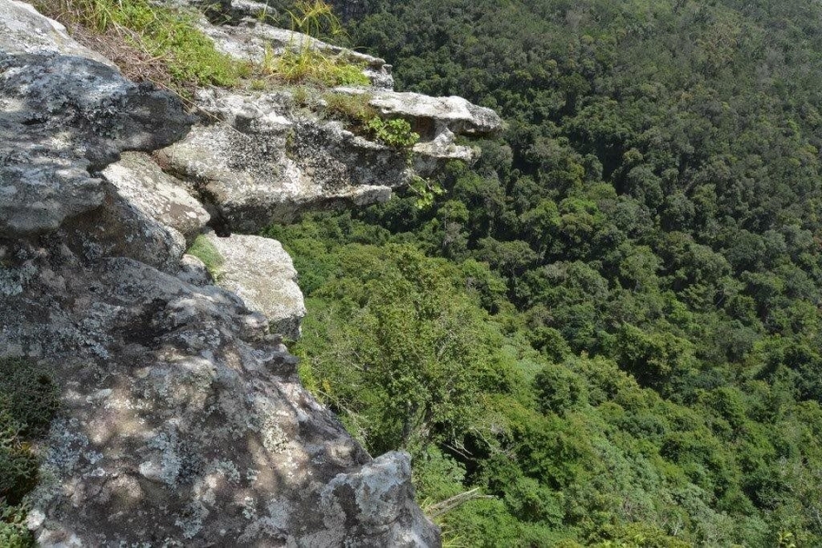 Commercial Property for Sale in Paddock KwaZulu-Natal