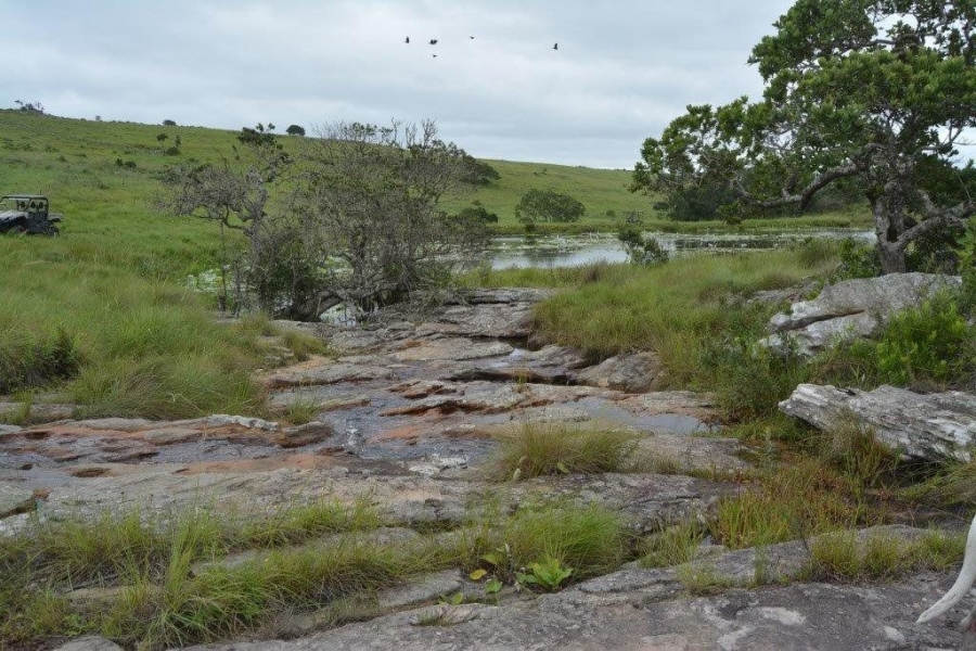 Commercial Property for Sale in Paddock KwaZulu-Natal