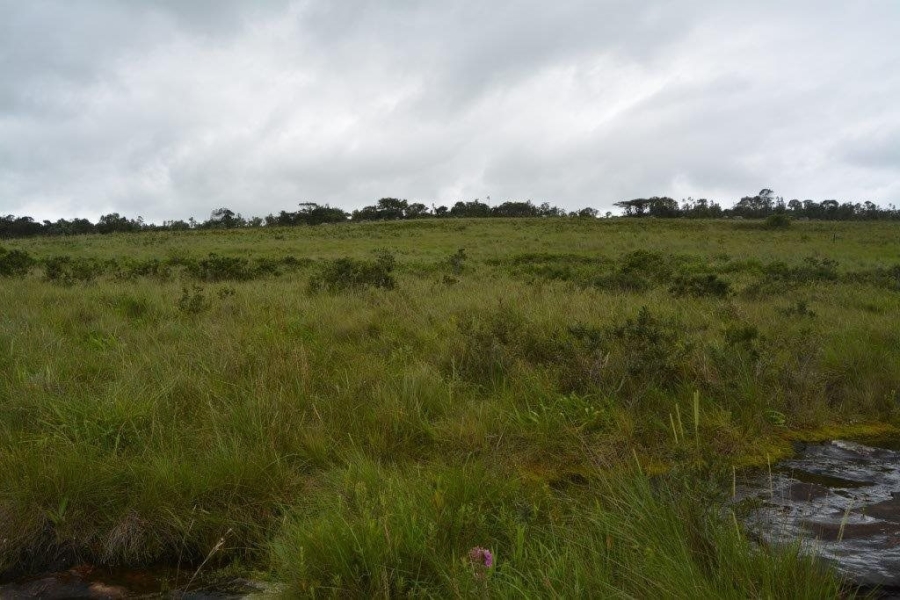 Commercial Property for Sale in Paddock KwaZulu-Natal