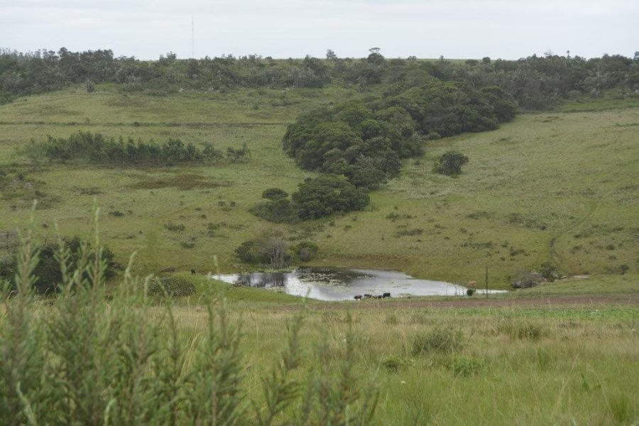 Commercial Property for Sale in Paddock KwaZulu-Natal