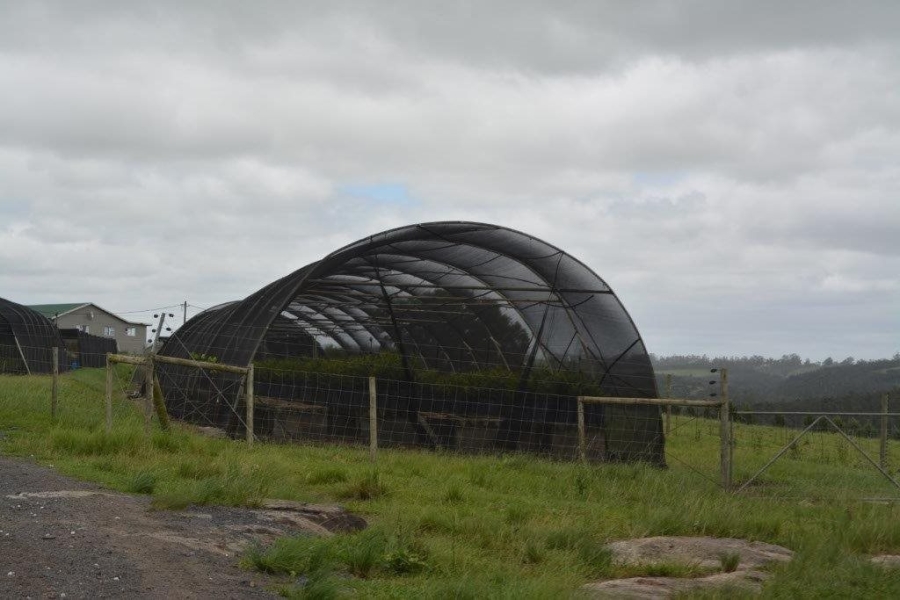 Commercial Property for Sale in Paddock KwaZulu-Natal