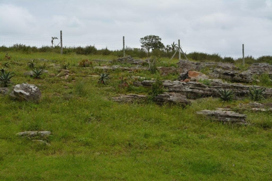 Commercial Property for Sale in Paddock KwaZulu-Natal