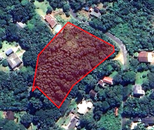 Commercial Property for Sale in Trafalgar KwaZulu-Natal