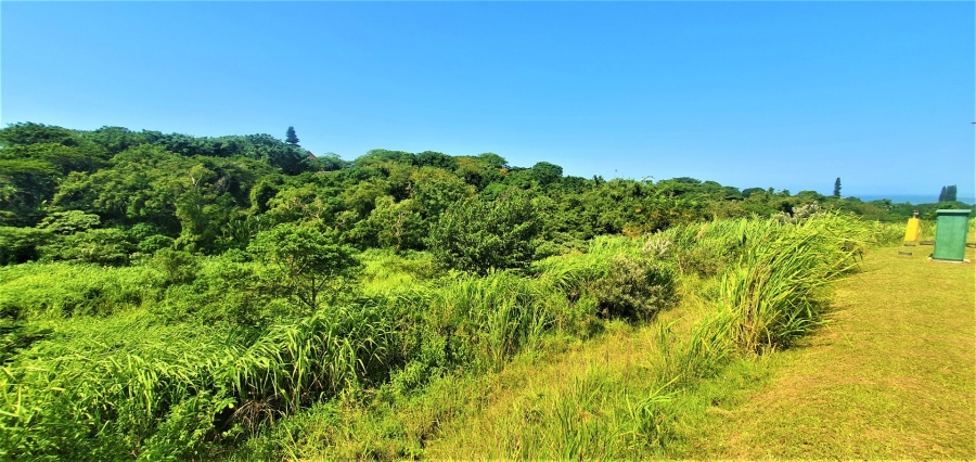 Commercial Property for Sale in Sea Park KwaZulu-Natal
