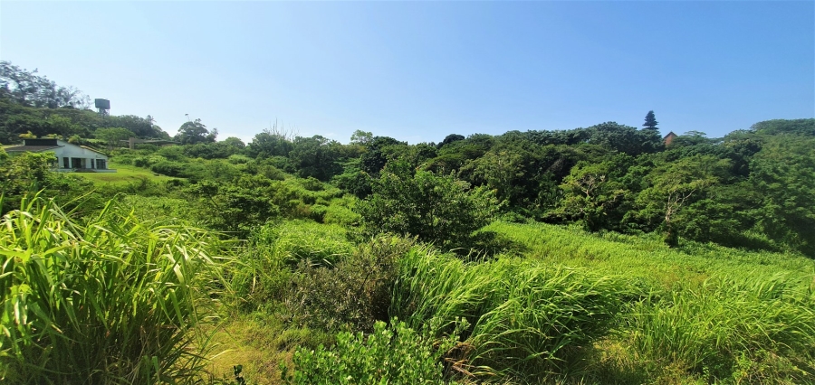 Commercial Property for Sale in Sea Park KwaZulu-Natal