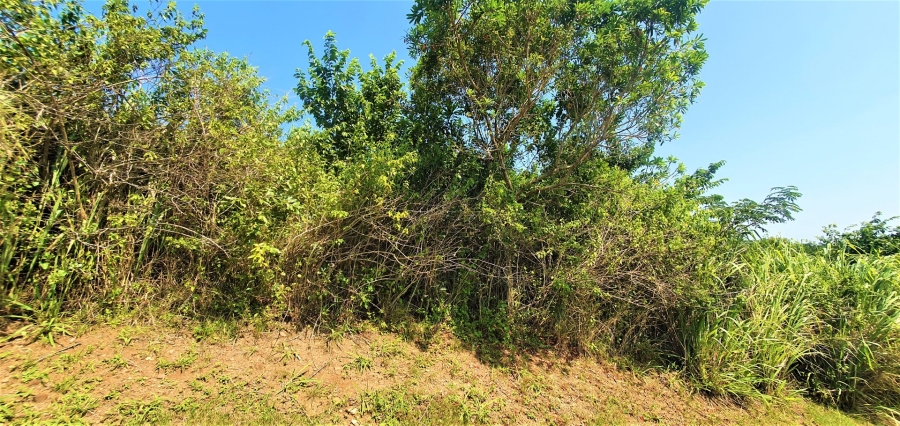 Commercial Property for Sale in Sea Park KwaZulu-Natal