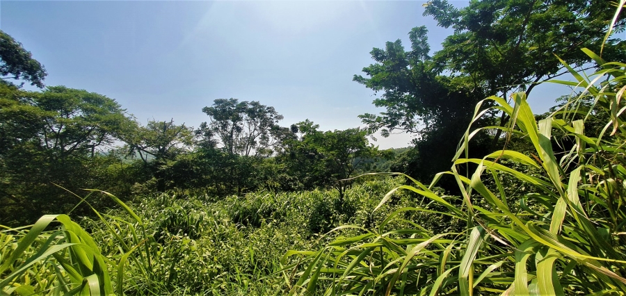 Commercial Property for Sale in Sea Park KwaZulu-Natal