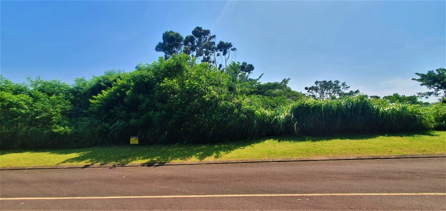 Commercial Property for Sale in Sea Park KwaZulu-Natal