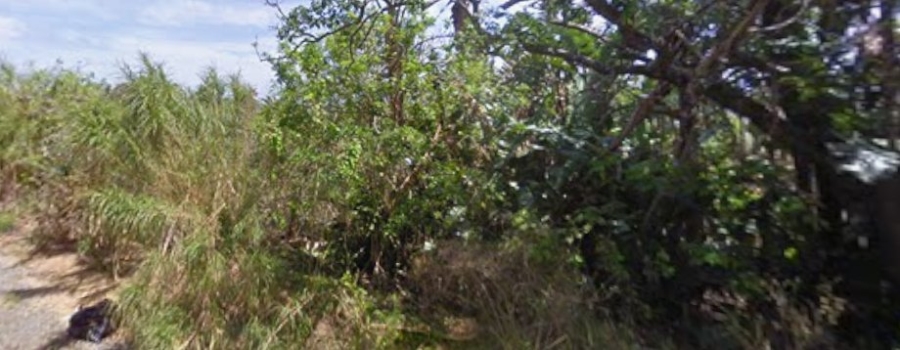0 Bedroom Property for Sale in Trafalgar KwaZulu-Natal