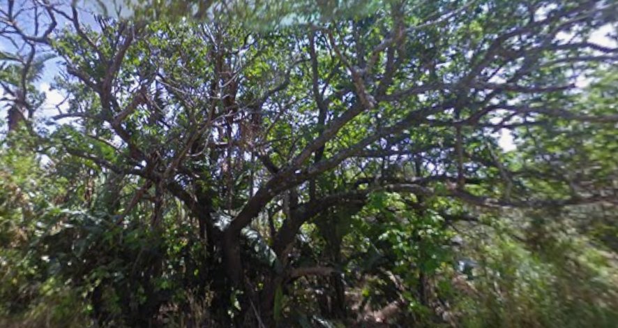 0 Bedroom Property for Sale in Trafalgar KwaZulu-Natal