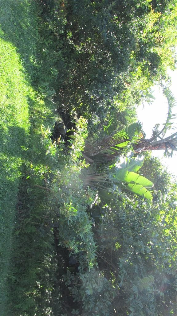 Commercial Property for Sale in Glenmore KwaZulu-Natal