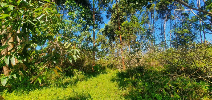 Commercial Property for Sale in Sea Park KwaZulu-Natal