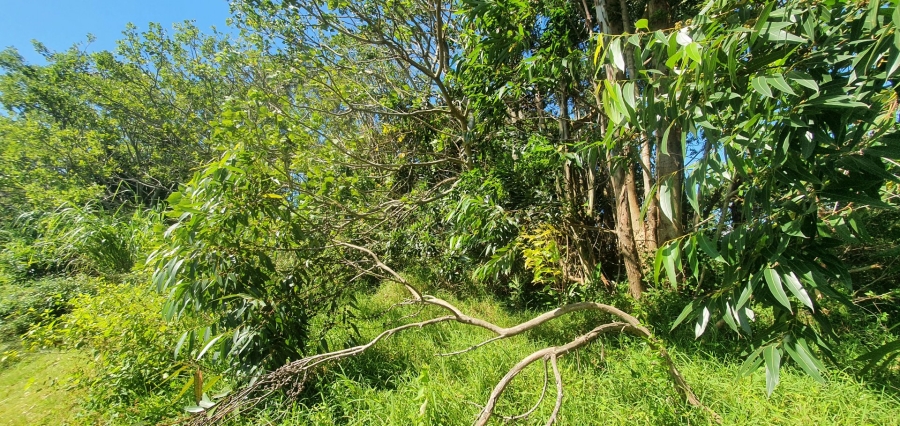 Commercial Property for Sale in Sea Park KwaZulu-Natal