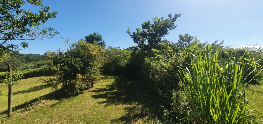 Commercial Property for Sale in Sea Park KwaZulu-Natal