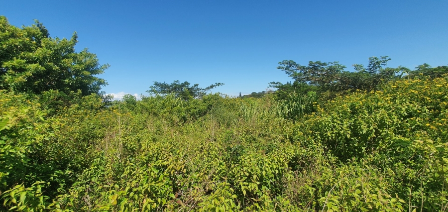Commercial Property for Sale in Sea Park KwaZulu-Natal