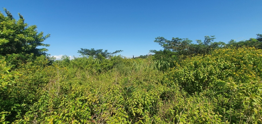 Commercial Property for Sale in Sea Park KwaZulu-Natal